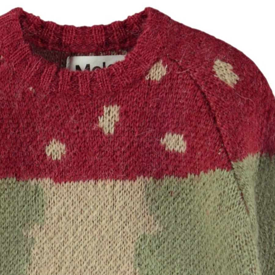 Amanita Mushroom Wool Sweater for Infant/Toddler | Green Sweater with Red/Beige Mushroom | 70% Alpaca Wool and Acrylic blend  | Sizes 6m thru 4T - closeup
