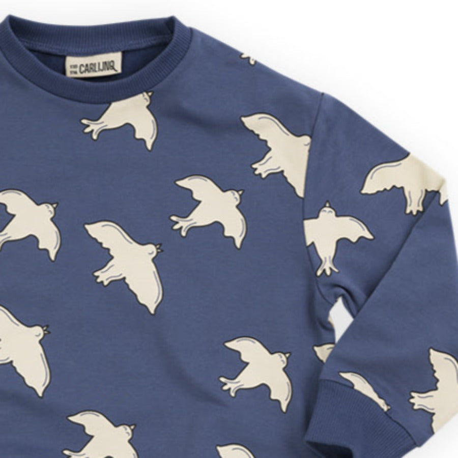 CarlijnQ Cotton Sweatshirt in Free Like a Bird Print |  Oversized for Comfort