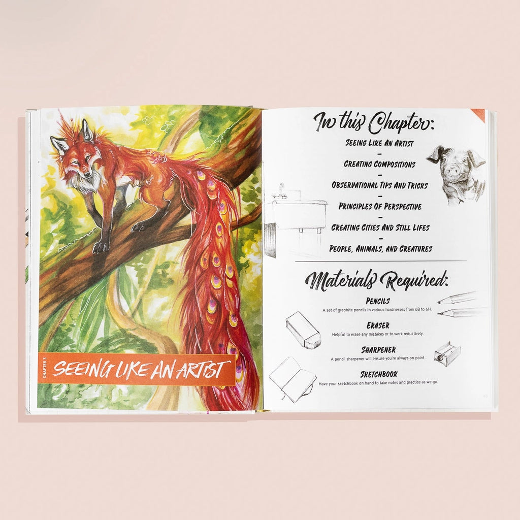 Artists Drawing Book | Learn how to Draw, Sketch, Shade and more | Easy lessons & practice pages | For all Ages | over 200 pages | for beginners to experienced | 9"x11" | sample page