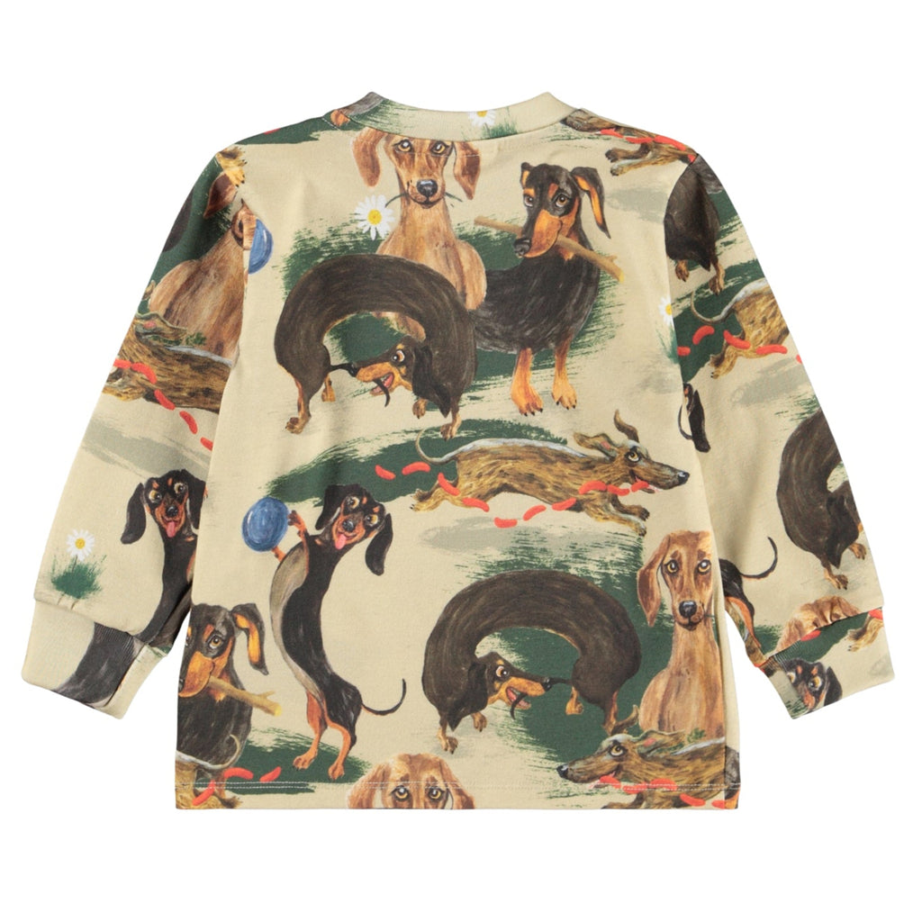 Playful dashchunds playing cover this long sleeve cotton tee | banded at wrist | open at waist